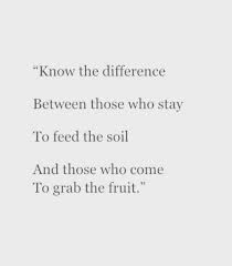 Do i know what's going on in this piece? Know The Difference Between Those Who Stay To Feed The Soil And Those Who Come To Grab The Fruit Worthy Quotes Be Yourself Quotes Inspirational Quotes