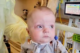 Fundraiser by Lisa Caito : Leo's Journey