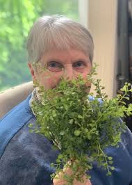 Jeanne Wilkinson Obituary