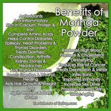 Benefits Of Moringa The Science Of Eating Moringa Benefits Coconut Health Benefits Antioxidant Benefit