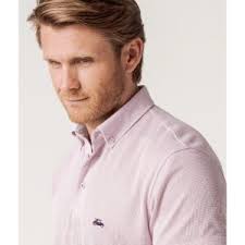 The SurfCar archivos -