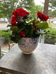 We did not find results for: Red Begonia In Blue And White Container In Hermitage Tn In Full Bloom Flowers Gifts