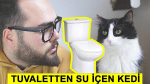 Kedim Klozetten Su Iciyor Imdat Cozum Yok Mu Var Youtube