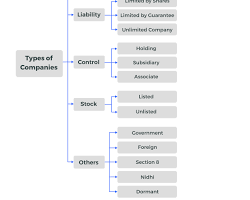 flowchart showing different types of companies resmi