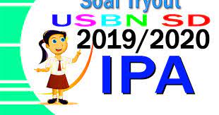 Schnell & einfach pakete versenden mit gls. Contoh Soal Tryout Usbn Ipa 2020 Lengkap Dengan Kunci Jawaban Contoh Ke 1 Sdn Ratujaya 1