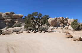 Homestead national historical park, a unit of the national park system known as the homestead national monument of america prior to 2021, commemorates passage of the homestead act of 1862, which allowed any qualified person to claim up to 160 acres. Joshua Tree National Park S Best Campsites Photos Of The 30 Best