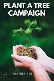 Due to our sales levels and our 2020 tree inventory, we closed our regular tree sales and activities earlier this month. 610 Plant Tree Customizable Design Templates Postermywall