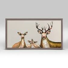 Tickets, tours, address, deer park reviews: 89 Bugs Ideen Insekten Kafer Insekt Tiere