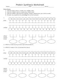 For the following examples, give the appropriate sequenceof dna, mrna, trna and/or polypeptide (aa in advance of preaching about transcription and translation worksheet answer key biology, make sure you. Visual Protein Synthesis Worksheet Grade 10