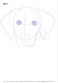 Learn how to draw a cute puppy (labrador retriever) step by step! Learn How To Draw A Labrador Face Farm Animals Step By Step Drawing Tutorials