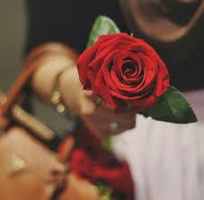 Flowers Red And Red Rose Resmi Rose Pic Red Roses Beautiful Rose Flowers