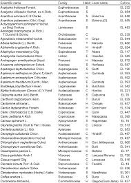 Image result for Andropogon amethystinus