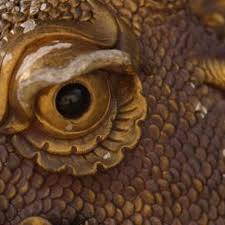 Maybe you would like to learn more about one of these? How To Make Dragon Scales Out Of Polymer Clay Ehow Polymer Clay Dragon Dragon Sculpture Polymer Dragon