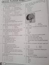 Berikut Ini Yang Bukan Merupakan Contoh Limbah Lunak Anorganik Adalah A Plastik Kemasanb Brainly Co Id