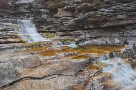 All The Leaves Are Brown And The Sky Is Grey All The Leaves Are Brown The Sky Is Grey Minnewaska State Park State Parks Sky Park