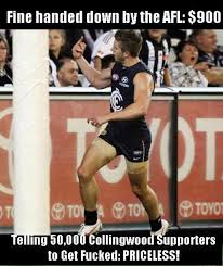 Afl Memes Google Search Carlton Afl Carlton Football Club Carlton Football
