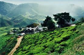 Jika anda lebih cenderung kepada aktiviti luaran dan ingin melihat keindahan alam yang ditawarkan oleh cameron highland singgah sebentar di air terjun robinson. Panduan Percutian Di Tempat Menarik Cameron Highlands Cari Homestay