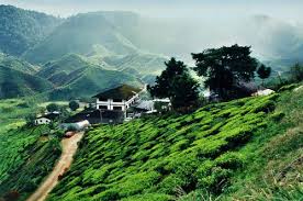 See 1,892 traveler reviews, 2,048 candid photos, and great deals for cameron highlands resort, ranked #1 of 22 hotels in tanah rata and rated 4.5 of 5 at tripadvisor. Panduan Percutian Di Tempat Menarik Cameron Highlands Cari Homestay