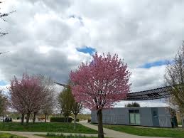 In this page you will find detailed information about the swift code genodes1sca of scharnhauser bank eg. Spazieren In Der Nahe Von Stuttgart Scharnhauser Park Amor Tempel Und Durch Das Korschtal Travellerblog