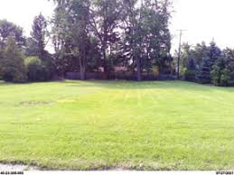 Image result for Marquese Gray 1929 Buick