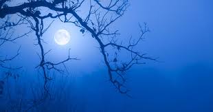 The full moon is the moment the entire face of the moon is illuminated by the sun's rays. What Is A Blue Moon