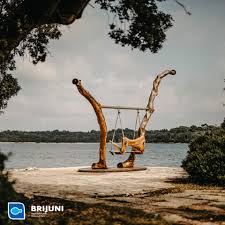 Na brijunima je upisano gotovo 700 vrsta raslinja, oko 250 vrsta ptica, dok blaga mediteranska klima čini ovo mjesto ugodnim i ljekovitim. Np Brijuni Savrseno Mjesto Za Nacionalni Park Brijuni Facebook