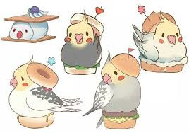 Check spelling or type a new query. Sandwiches Cockatiels Cute Animal Drawings Cute Drawings Kawaii Drawings