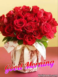 Good morning beautiful pictures good morning beautiful flowers good morning nature good morning happy sunday good morning roses good morning image quotes good morning cards good morning beautiful images morning quotes. Top 70 Good Morning Rose Flowers Images Pictures Photos Status Pics