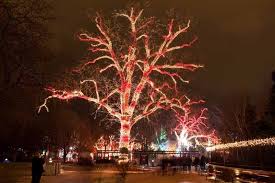 182 results for candy cane christmas lights. Residential Holiday Lighting Illuminight Lighting
