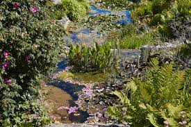 L'application « jardins botaniques » permet de découvrir les serres tropicales et le parc du jardin botanique grâce à des jeux pédagogiques, des vidéos et de la réalité augmentée. Photos Promenade Ensoleillee Dans Les Allees Du Jardin Botanique De Villers Les Nancy Suite A Sa Reouverture