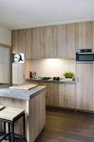 They are typified by cabinet doors and drawer fronts that are cut from hardwood plywood. Flat Front Wood Cabinets Kitchen Renovation Modern Kitchen Wood Kitchen Cabinets