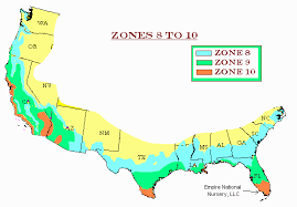 Check spelling or type a new query. 8 Steps To Garden Successfully In Zone 8b Preparednessmama
