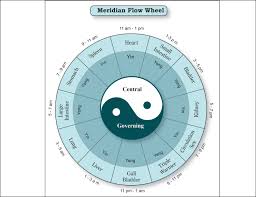 Meridian Hourly Flow Wheel Printable Poster Health