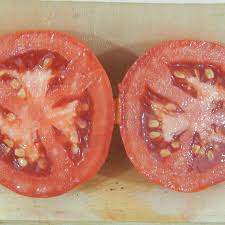 Just buy a packet of seeds and plant a single seed in each of about a dozen small pots filled with compost. Moneymaker Tomato Seeds Urban Farmer