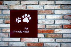 This pacific northwest chain of pet stores is all about healthy food, fun. The Ultimate Guide To Pet Friendly Hotel Chains And Travel Alltherooms The Vacation Rental Experts