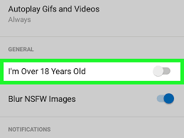 Their experience with other clients and knowledge of various tools and resources makes having them on your team a major plus. How To Disable Nsfw Reddit Content On Android 4 Steps