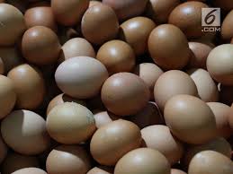 Check spelling or type a new query. Berapa Lama Sebenarnya Telur Bisa Disimpan Sebelum Dimasak Lifestyle Liputan6 Com