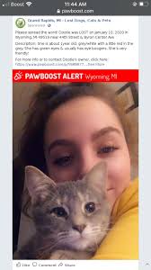 My family and I are wondering if anyone has any younger female cat, that  need to be rescued from outside before this weather hits any harder.  Located in Grand Rapids