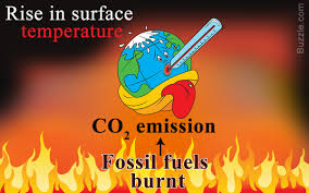 Image result for global warming photos