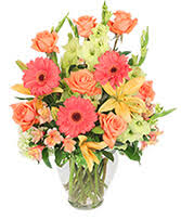 Flowers by renia ridgewood ny. Better Than Ever Bouquet In Ridgewood Ny Flowers By Renia Gifts