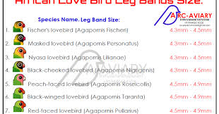 Species Name And Leg Band Size 1 Fischer S Lovebird Agapornis Fischeri 4 3mm 4 5mm 2 Masked Lovebird Agaporni Leg Bands Love Birds African Love