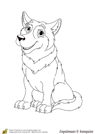 Page 5 Sur 16 Sur Hugolescargot Com Husky Chien Chat Esquimaux
