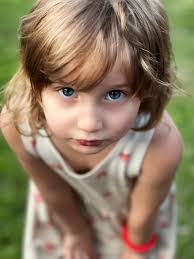 What are the best schools in Somerville, MA for my child?