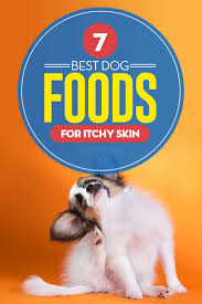 What is the best dog food for skin allergies? 7 Best Dog Food For Itchy Skin Brands 2020 Review Update