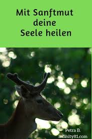 Krafttier Hirsch Schweden Skandinavien Ausserewohnliche Krafttierbilder Wanddeko Energiebild Krafttier Tiere Totemtier