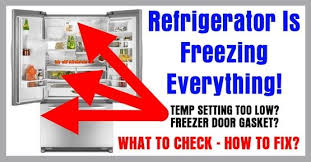 Refrigerator Is Freezing Everything What To Check How To Fix In 2020 Refrigerator Freezing Food Refrigerator Fix It