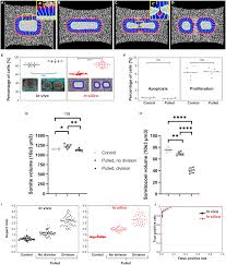 We did not find results for: Somite Division And New Boundary Formation By Mechanical Strain Abstract Europe Pmc