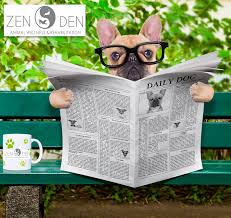 Naoya zenin (禪 (ぜん) 院 (いん) 直 (なお) 哉 (や) zen'in naoya?) is an antagonist in the jujutsu kaisen series. Monthly Newsletters In Palmdale Ca Zen Den Animal Wellness Rehabilitation