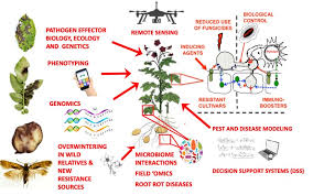 Ipm aims to suppress pest populations below the economic injury level (eil). Integrated Plant Protection Externwebben