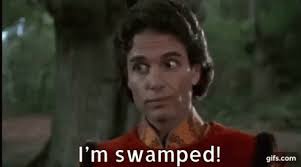 @shell062598's video Tweet